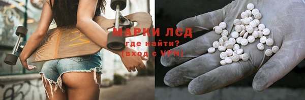 спиды Горняк