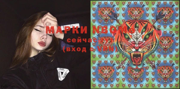 спиды Горняк