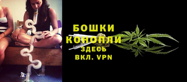 молекула духа Горно-Алтайск