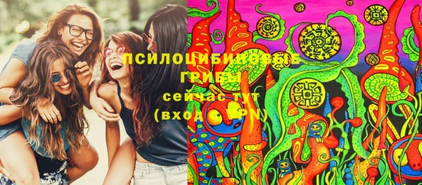 молекула духа Горно-Алтайск