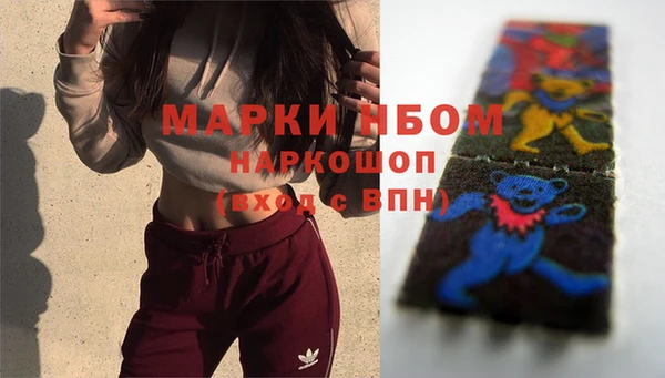 спиды Горняк